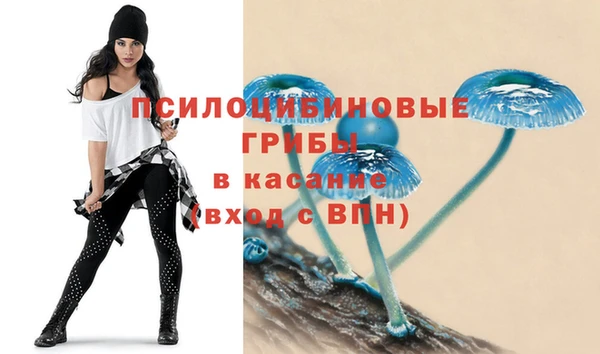 прущие крисы Дмитров