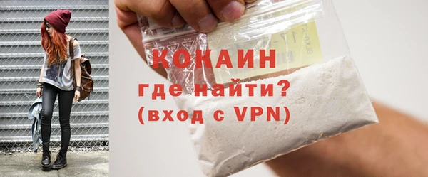 PSILOCYBIN Дмитриев