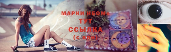 PSILOCYBIN Дмитриев