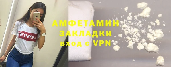 PSILOCYBIN Дмитриев