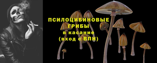 PSILOCYBIN Дмитриев