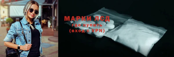 PSILOCYBIN Дмитриев
