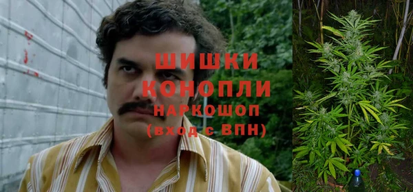 PSILOCYBIN Дмитриев