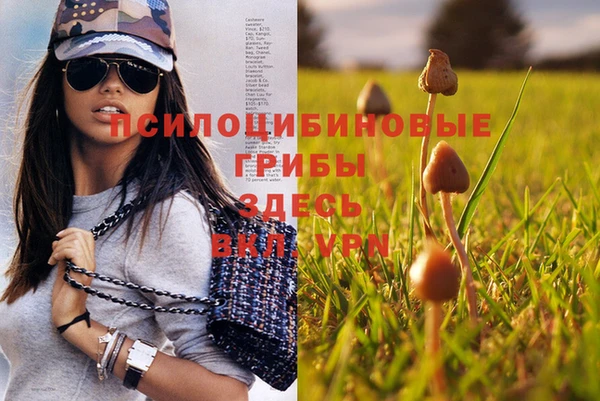 прущие крисы Дмитров