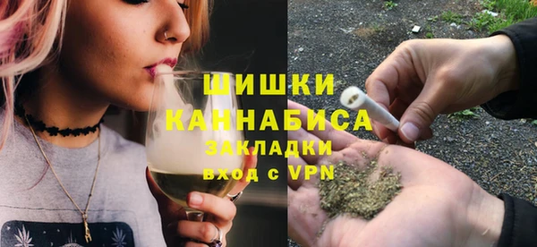 PSILOCYBIN Дмитриев
