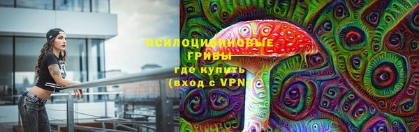 PSILOCYBIN Дмитриев