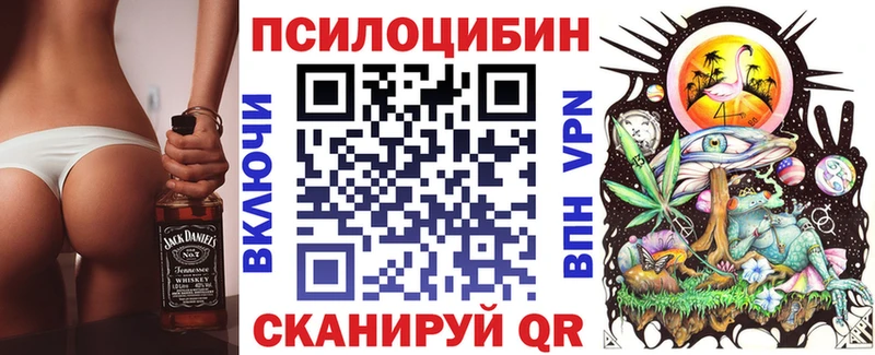 блэк спрут маркетплейс  Светогорск  Псилоцибиновые грибы Psilocybine cubensis 